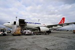 Relocating lion cubs and endangered penguins to their new home, Turkish Cargo keeps protecting the wildlife