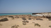 «هيئة السياحة» تكشف عن مبادرتها لتطوير جزيرة فرسان