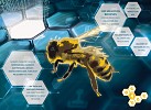 توظيف الذكاء الاصطناعي في أبحاث النحل: مشروع 