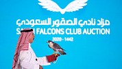 أكثر من 300 ألف ريال حصيلة اليوم الأول لمزاد نادي الصقور السعودي 
