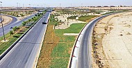 أمانة الرياض تزرع 12 ألف شجرة في العاصمة خلال شهر يناير