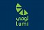 Lumi holds 10% market share in Saudi, eyes local expansion: CFO