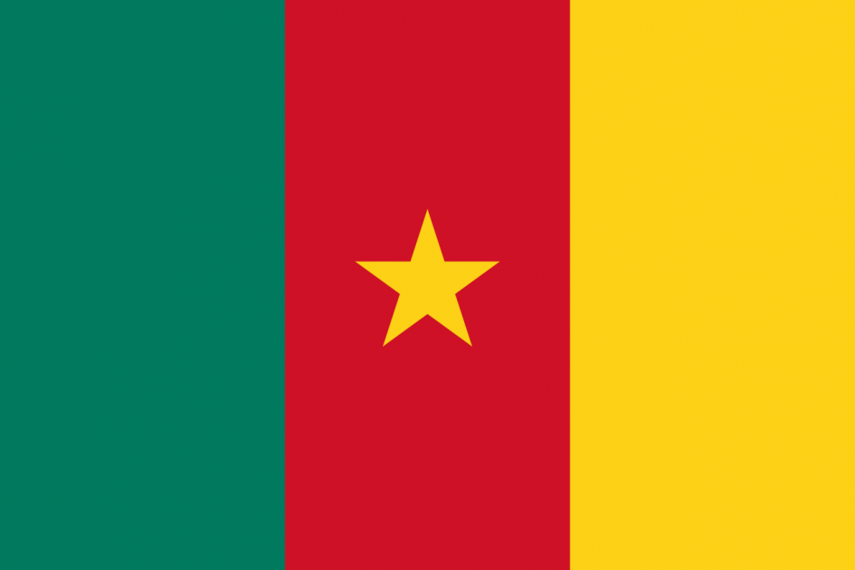 سفارة  الكاميرون 