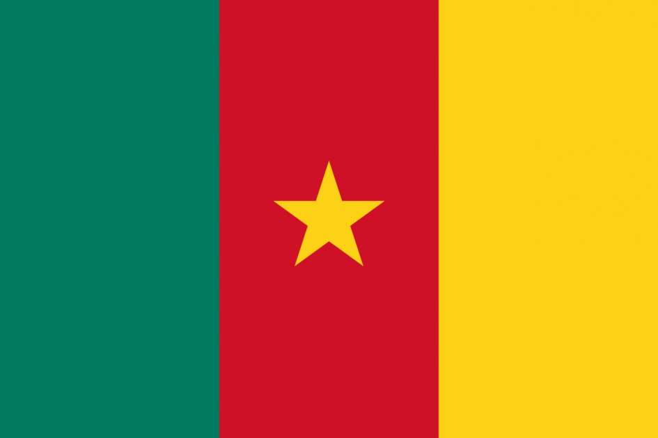 Cameroonian Embassy 