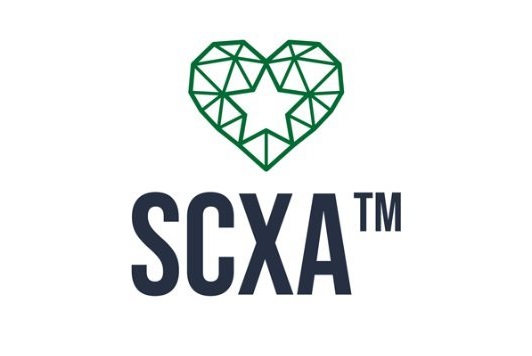 SAUDI CUSTOMER EXPERIENCE AWARDS 2025