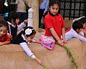 منتجع وحديقة الإمارات للحيوانات تطلقان المخيم الصيفي الخاص بالأطفال