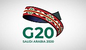 G20 Enhances Sustainable Development and Emergency Response Plan for Developing Countries