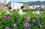 عبير التراث ينعش السياحة الريفية: قصة نجاح مزارع الورد في قلب الطائف