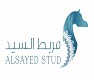 مربط السيد