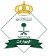 المديرية العامة للجوازات