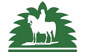 King Abdulaziz Arabian Horse Center Championship Show 2019