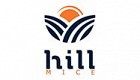 Hill Mice