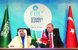 الملك والرئيس التركي يحضران توقيع محضر إنشاء مجلس التنسيق السعودي - التركي
