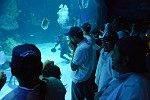 100 طفل توحدي  وأفراد عوائلهم يكتشفون مشروع أسرار وعجائب المخلوقات البحرية بجدة