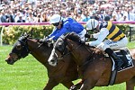 Barrier Draw Helps Godolphin in Melbourne CUP Charge