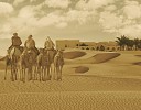 عطلة نهاية الأسبوع في فندق تلال ليوا الملاذ المثالي و المليء بالمغامرات في صحراء الربع الخالي