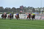 Hartnell third, Qewy fourth in Melbourne Cup