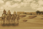 Tilal Liwa Hotel Celebrates the UAE’s Cultural Inheritance At the Al Dhafra Camel Festival