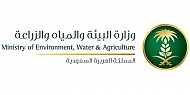 Saudi woman appointed to lead national water consumption rationalization program