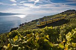 Loving Lausanne, Lavaux and the beauty of the Vineyard Terraces