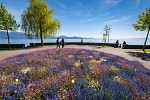  Lausanne: A City for Adventurers and Sports Aficionados 
