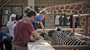 Emirates Park Zoo and Resort Turns 9!
