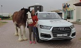  Horsepower to help horses for healing: Audi Al Nabooda pledges support to Al Marmoom Initiative