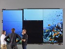 Barco, Trigon Reinforce Exclusive Channel Partnership for Revolutionary UniSee® LCD Video Wall in UAE