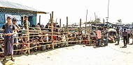 الشارقة للإعلام تتبرّع بـ 3 ملايين درهم للقلب الكبير لعلاج لاجئي الروهينجا في بنغلاديش