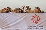 Second phase of Saudi Crown Prince Camel Festival begins