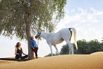 ليوم واحد فقط - عرض فريد لمحبي اليوجا و التفاعل مع الخيول في منتجع باب الشمس الصحراوي
