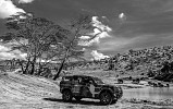 World Famous Photographer David Yarrow Captures Unique Wildlife Images Thanks to New Land Rover Defender
