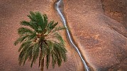 Saudi photographer wins prestigious award thanks to Google Map error
