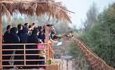 Jeddah Jungle takes visitors on ultimate safari experience