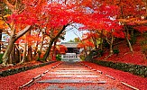 Japan to Welcome International Visitors Beginning October 11 