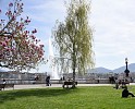 Geneva gets ready to welcome families ahead of the summer holidays