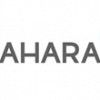 Sahara Sahara