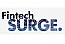 FinTech Surge