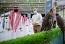 Saudi interior minister visits international falconry event 