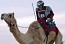 Robot jockey in camel racing aims to reduce accidents and physical risks