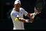 Djokovic reaches Wimbledon Final