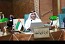 UAE participates in meeting of Arab Economic and Social Council’s Economic Committee in Cairo