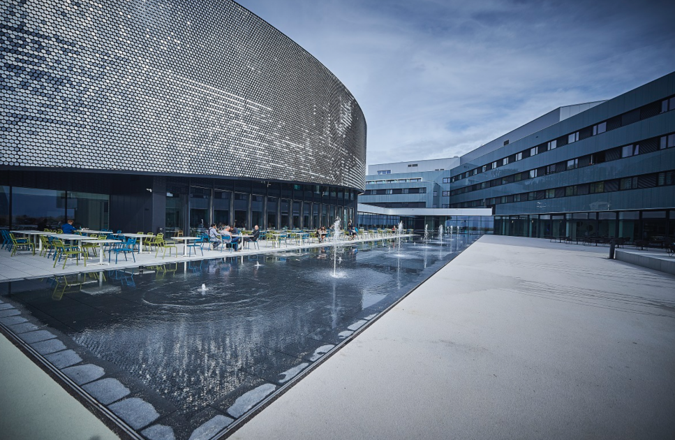 Dive Into The Wonders of the Sea at AQUATIS AquariumVivarium Lausanne