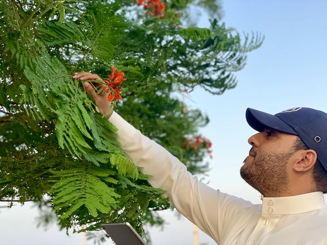 Ready, Steady Grow Saudi Treeplanting Initiative Seeks Greener Future