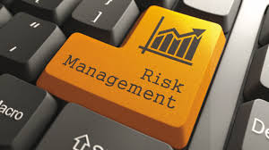 إدارة المخاطر الإحترافية ®RMP